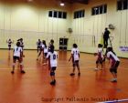 Zoom: Gara Futura Volley - Pall. Decollatura